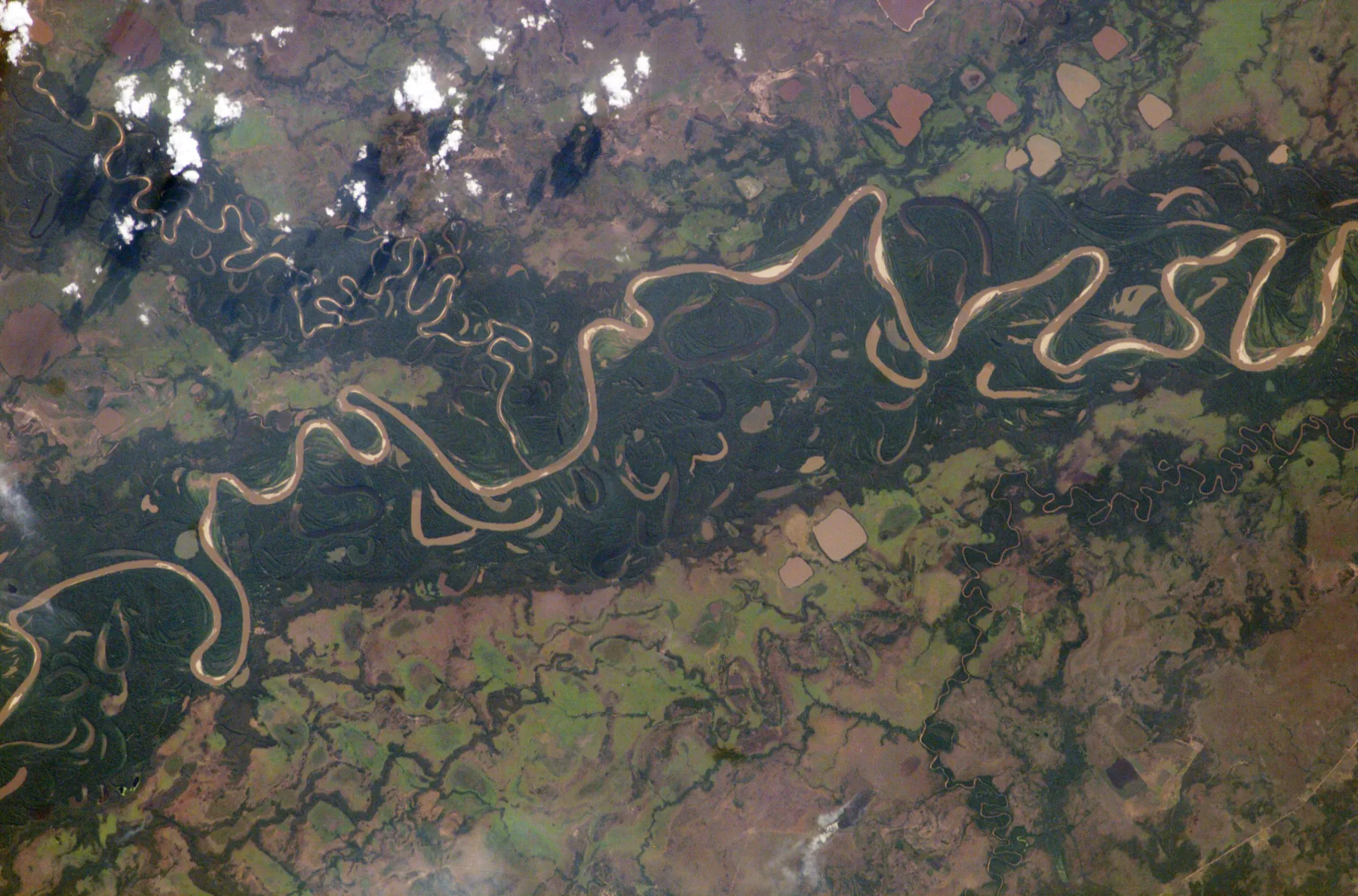 Vista desde el espacio de los meandros y antiguos cauces del río Mamoré en Bolivia